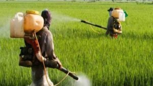 Herbicide Boom