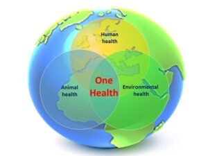 One Earth one health