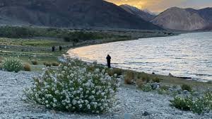 Ladakh at the Crossroads