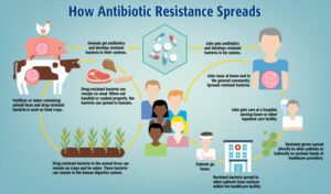 Antibiotic Resistance (Completely Explained)