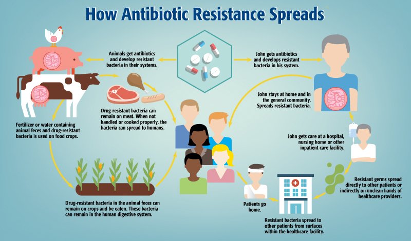 Antibiotic Resistance (Completely Explained)
