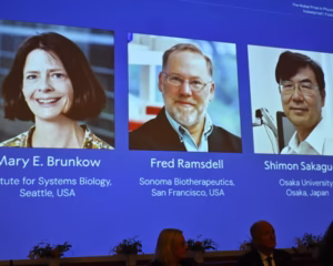 Immune System and the Nobel Prize 2025