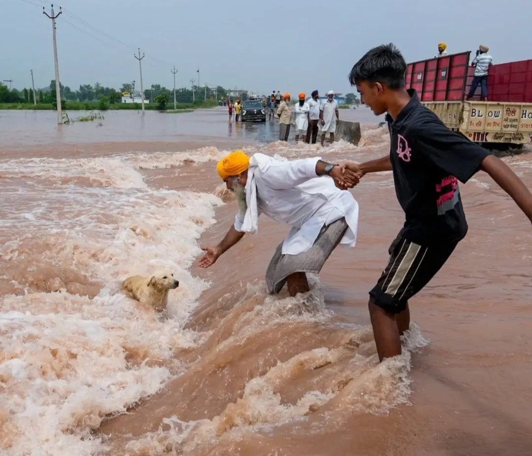 Punjab Floods and Soil Fertility