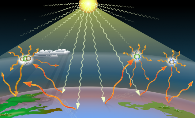 Rising CO₂ Levels and Global Warming