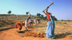 Women’s Labour Force Participation in India