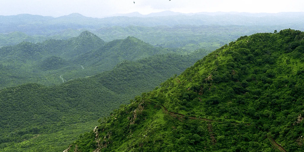 Shrinking the Aravallis