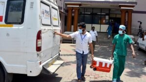 Brainstem Death & Organ Donation Reform