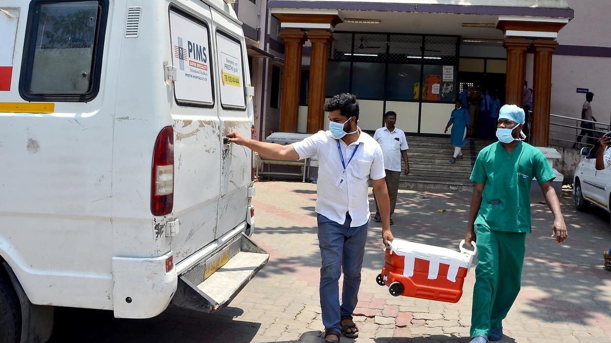 Brainstem Death & Organ Donation Reform