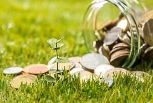 India’s Green Transition and Financing Strategy