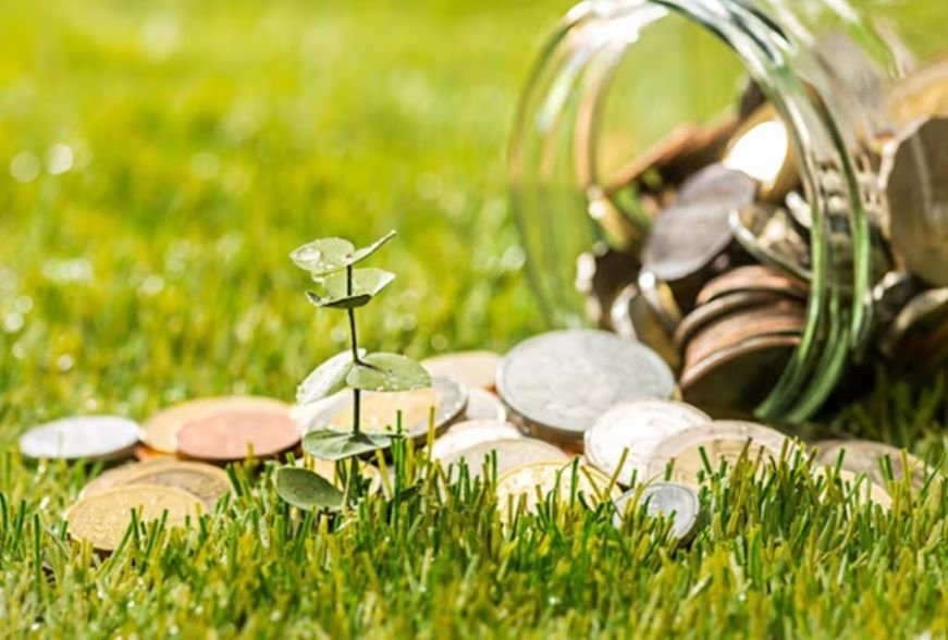 India’s Green Transition and Financing Strategy