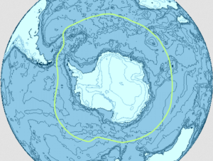Southern Ocean Carbon Anomaly