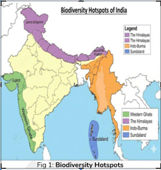 India's two biodiversity hotspots concentrate most endangered species - 36 hotspots globally