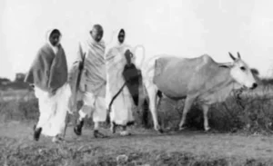 Gram Swaraj and Gandhi’s Vision of Village Self-Rule