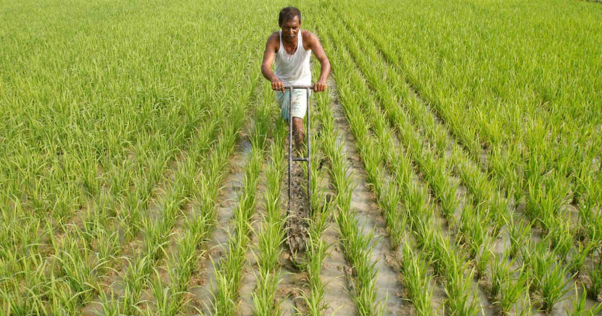 India and Climate Resilient Agriculture