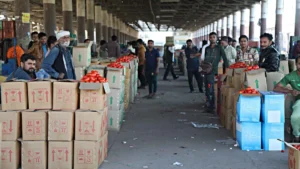 India’s Consumption Puzzle