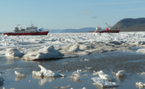 Arctic Warming and Invasive Species Threat