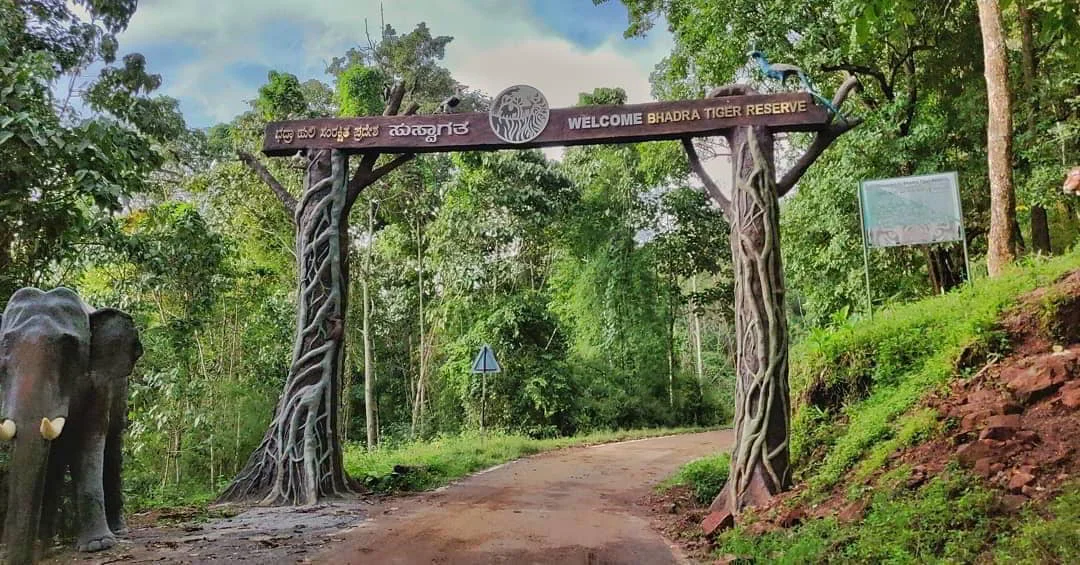 Bhadra Tiger Reserve