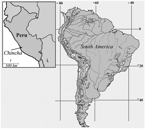 Chincha Kingdom