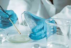 Davos Compact on Antimicrobial Resistance (AMR) 2025