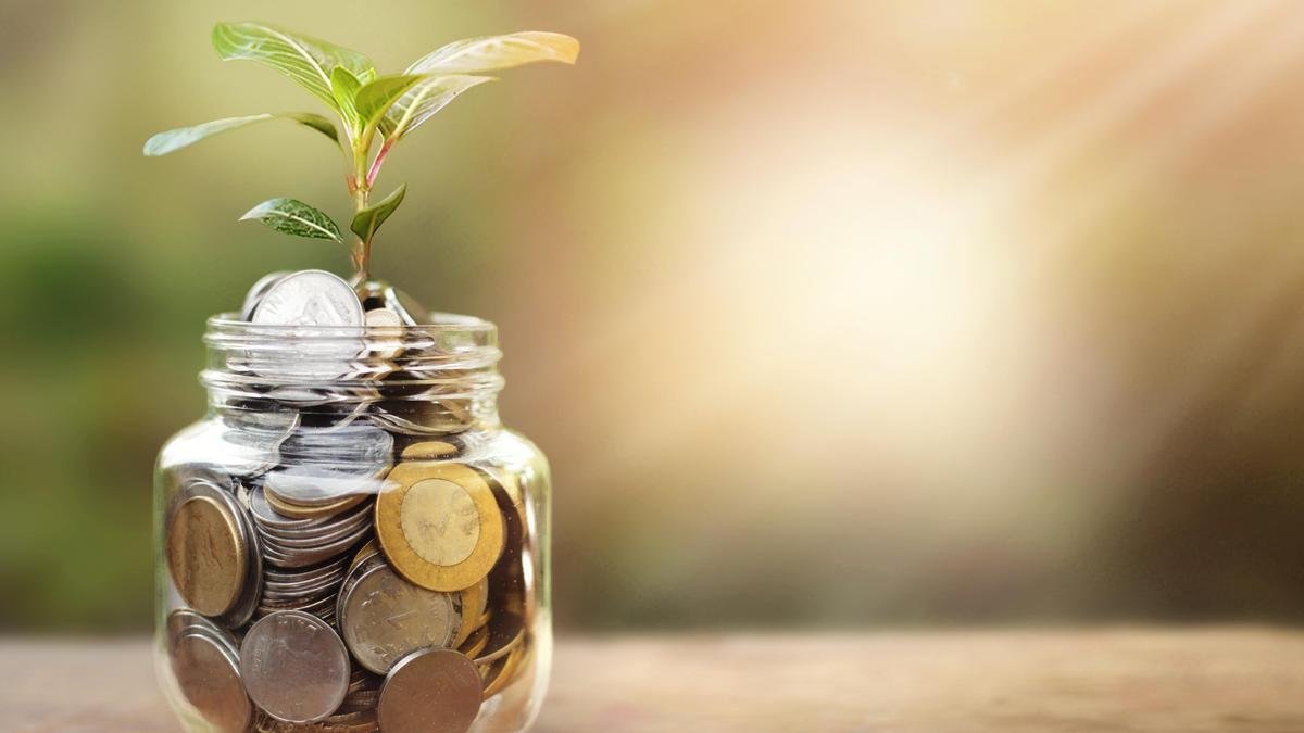 Lead Bank Scheme (LBS)