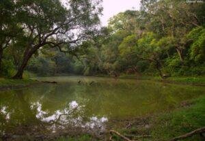 Nandhaur Wildlife Sanctuary