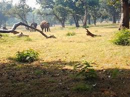 Palamu Tiger Reserve: