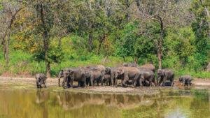 Rajaji Tiger Reserve
