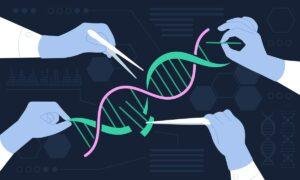 Single Genome Editing Strategy