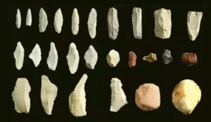 The Palaeolithic Age in India