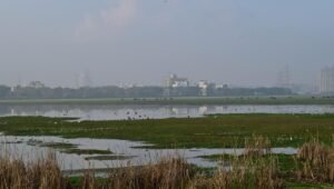 Wetlands as a National Public Good