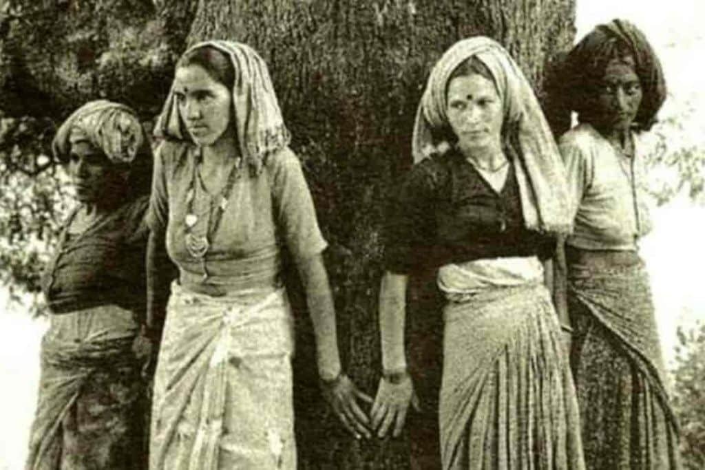 chipko movement