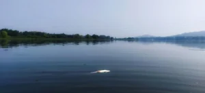Cauvery Basin & Declining Water Availability