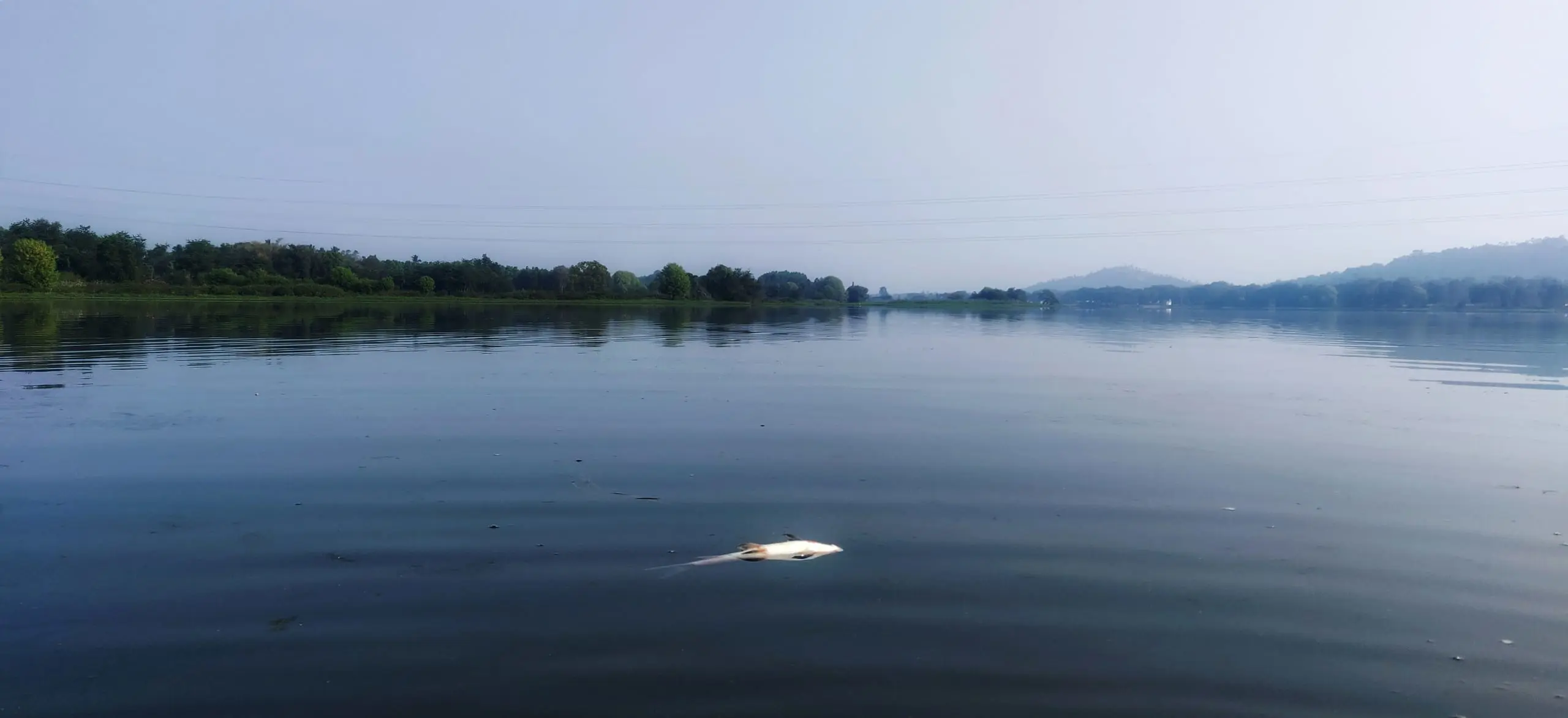 Cauvery Basin & Declining Water Availability