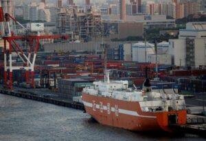 Eligible Manufacturer Importers (EMIs) Scheme