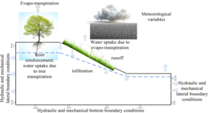 Hydrological Hysteresis and Landscape Memory