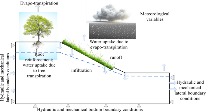 Hydrological Hysteresis and Landscape Memory