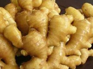 Karbi Anglong Ginger