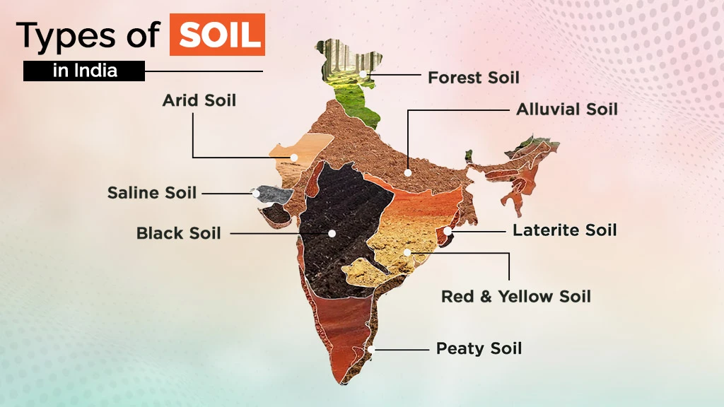 Major Soils of India