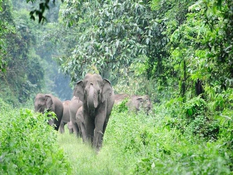 Megamalai Wildlife Sanctuary