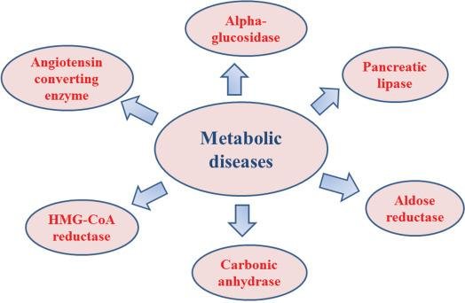 Metabolic Diseases Burden in India