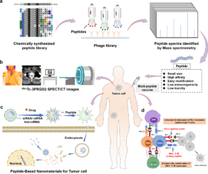 Peptides Explained: The Future of Modern Medicine