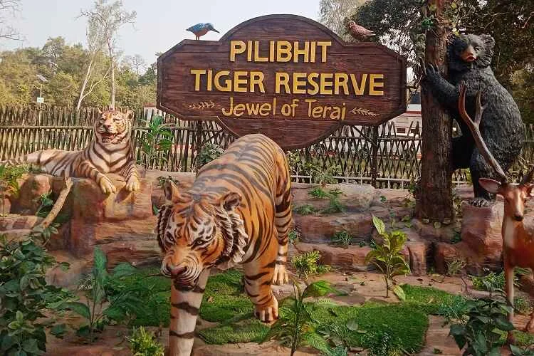 Pilibhit Tiger Reserve