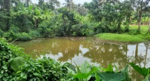 Ramsar Sites in India 2026