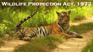 Wildlife Protection Act 1972