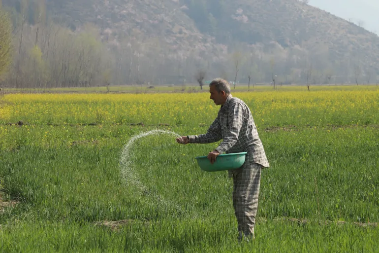 Fertiliser Price Surge Crisis