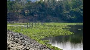 Ambazari Lake
