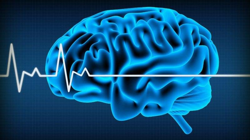 Brain Death Certification