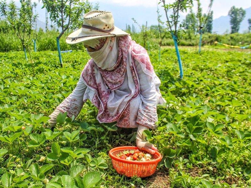Climate-Resilient Farming