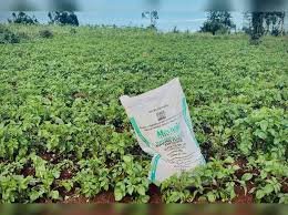 Fermented Organic Manure and Sustainable Agriculture in India