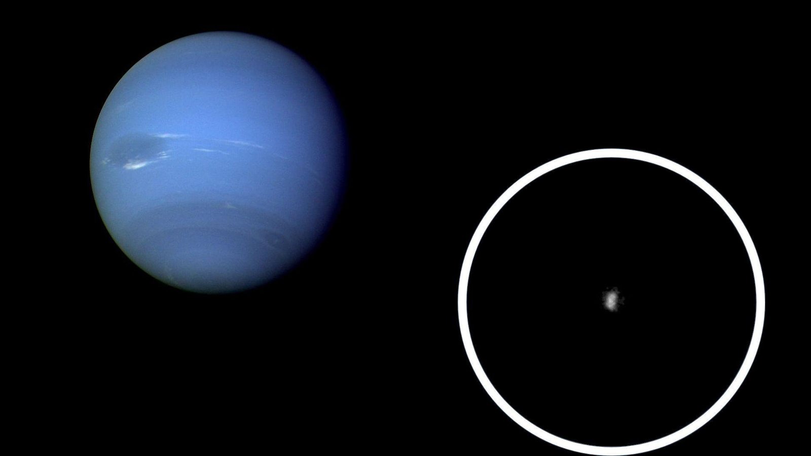 Nereid and the Kuiper Belt